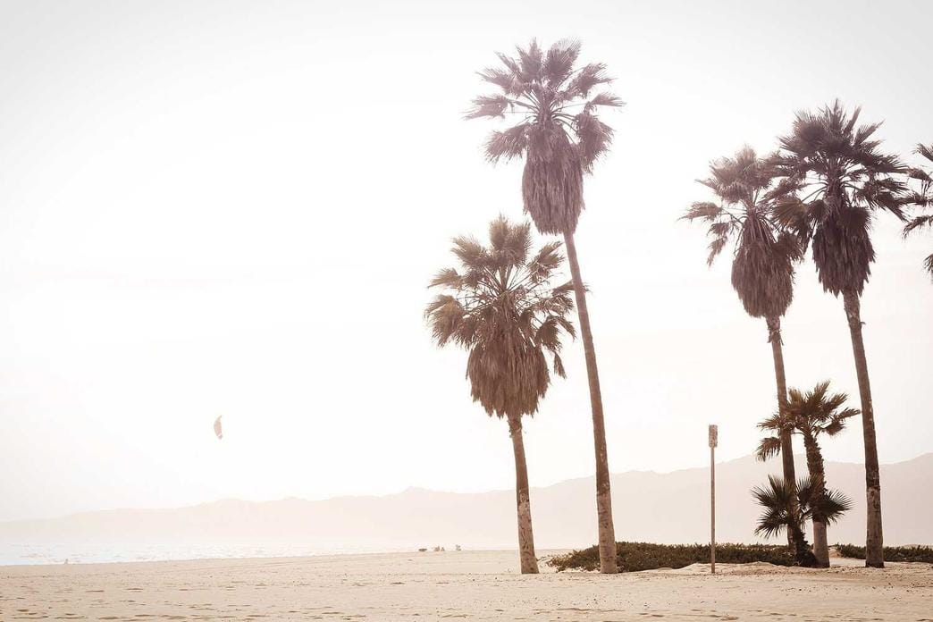 Nobis qui est voluptas rerum numquam porro et qui est